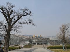 -北京植物园-展览温室