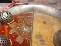 -九鼎轩脆毛肚火锅(三钢里店)