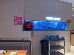 -老板恋上鱼(恒隆广场店)