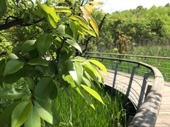 -西湖风景区-江洋畈生态公园