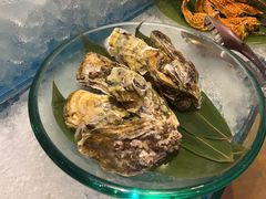 -烟台金海岸希尔顿酒店·開自助餐厅