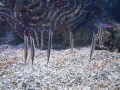 -大连老虎滩海洋公园