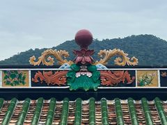 -鼎湖山风景区