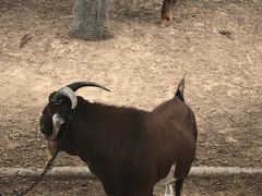 -酷鱼垂钓CLUB(朝阳区博大路店 )