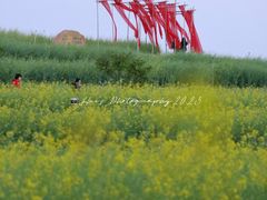 -光明小镇欢乐田园