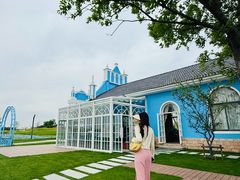-杭州湾海上花田景区