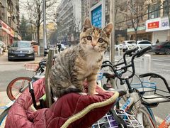 -拾螺记螺蛳粉
