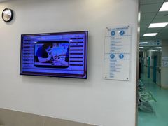 -北京观赏动物医院·24小时大型综合·猫专科·异宠专科
