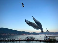 -滇池海埂公园
