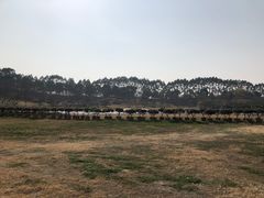 -秀丽东方