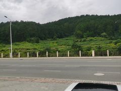 -西江传说•酸汤鱼(水东路店)