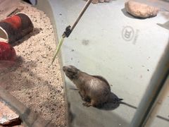 -正佳雨林生态植物园