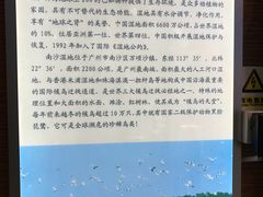 -大湾区中央湿地公园