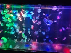 -邯郸海洋世界