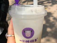 -一只酸奶牛(八一路店)