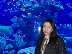 -左海海底世界