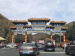 -御道口草原森林风景区