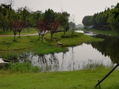 -滨湖塘西河公园