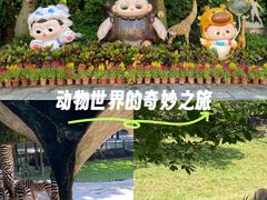 -深圳野生动物园