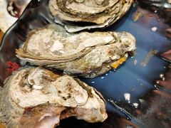 -烧蠔帮·湛江生蚝(工农店)