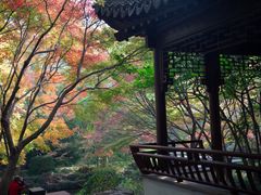 -秋霞圃