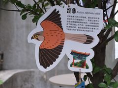 -大小咖啡 BigSmallCoffee(麦子店)