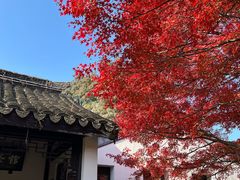 -惠山古镇·寄畅园