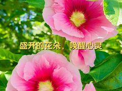 -济南植物园