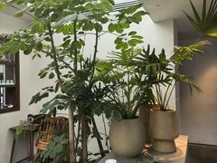 -自如ZSPACE四合院艺术餐厅