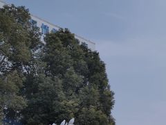 -海合安武汉极地海洋公园