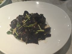 -洞庭家宴·头牌甲鱼(广渠门店)