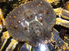 -海景壹号大酒店(滨湖店)