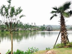 -枫香湖儿童公园