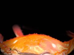 -日月明小渔村•海肠捞饭•大连海鲜(星海广场店)