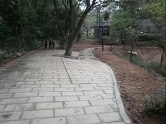 -景德镇站
