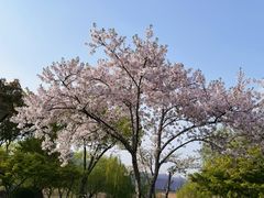 -贡湖湾湿地公园