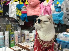 -吴山路夜市