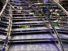 -招商蛇口邮轮母港(观光客运)