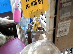 -平行世界·猫咖(首经贸店)