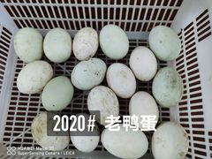 -宾湖农庄·农场特色(太湖龙之梦店)