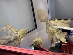 -雅苑中餐厅