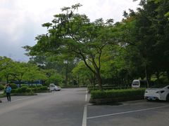 -三水森林公园