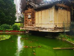 -水车博览园