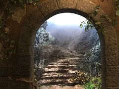 -中国茶叶博物馆(双峰馆区)