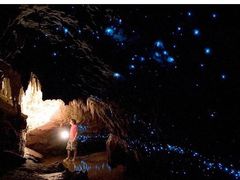 -怀托摩萤火虫洞