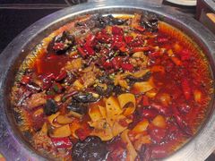 -美蛙四季(黄寺大街店)