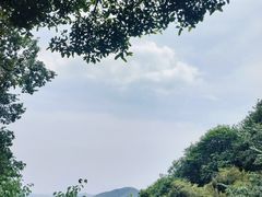 -灵顺寺