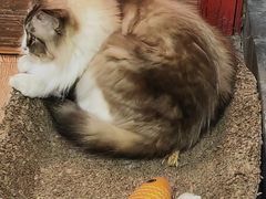 -白兔子密室(长寿路店)