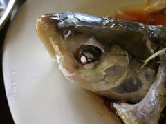 -百里鲜(羚羊峡古栈道森林公园店)