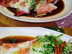-聚龙酒家(富豪花园店)